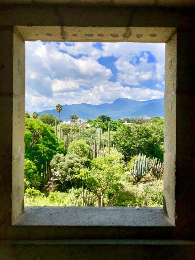 Beautiful Apartment In Oaxaca City'S Best Location Exterior foto